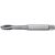 W3955123 WIDIA GT205103 WU32MG M20X2.5 6HX 376 4FL PLG SF HSSE-PM TICN