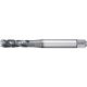 W3955024 WIDIA GT305102 WU32MG M10X1.5 6HX 371 3F SBOT SF HSSE-PM TICN