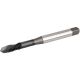 W5690942 WIDIA GT725046 WN44EG M10X1.5 D6 D/A 2FL PLG SF TIN+CRC/C